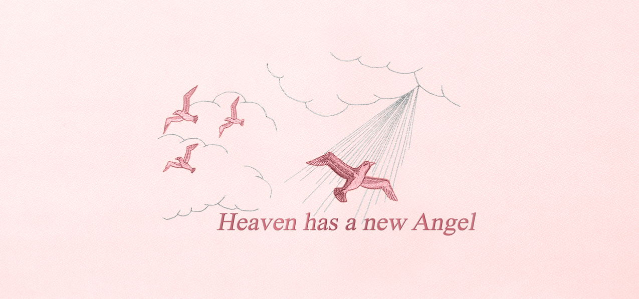 Heaven has a new Angel Pink Pink Faux